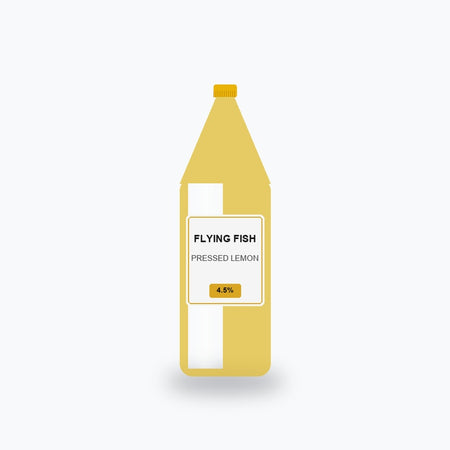 Flying Fish Flavored Beer 50 cl - Shop Verviers
