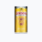 Gordon's London Dry Gin & Tonic 25 cl - Shop Verviers